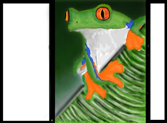 A frog