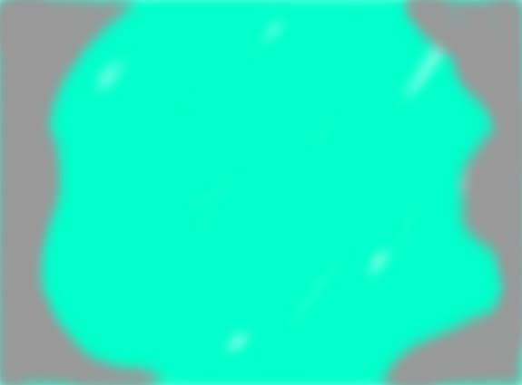The stars