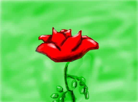 Rose