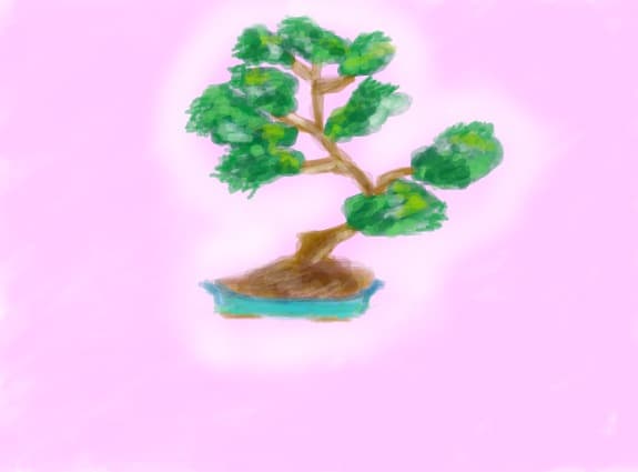Bonsai