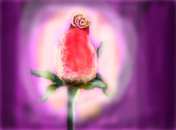 Rose..