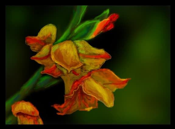 prima floare din galeria mea