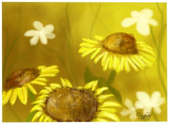 floricele