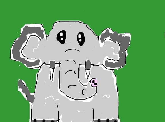 elefant