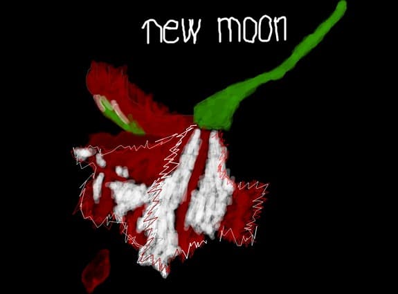 new moon