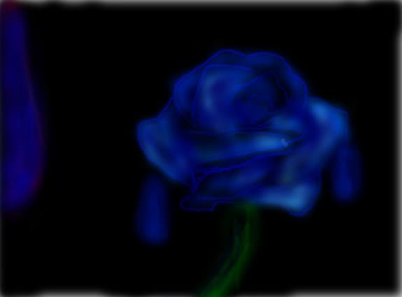 blu rose