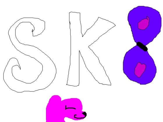 SK8