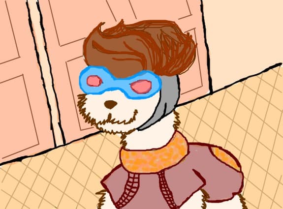 Un catel aviator