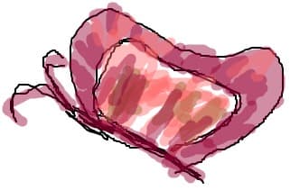 fluture