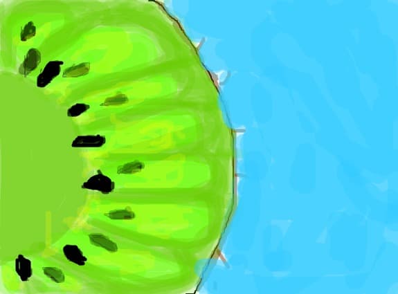 kiwi