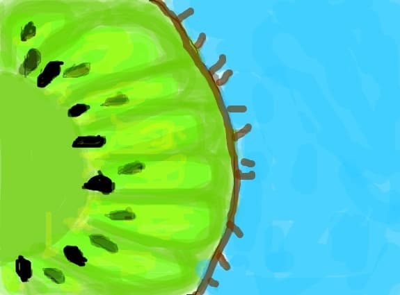 kiwi