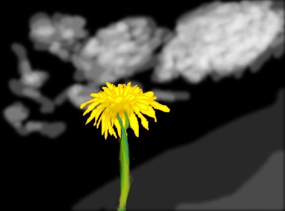 color splash....nereusit....