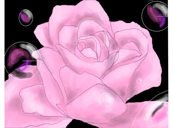 ...rose...