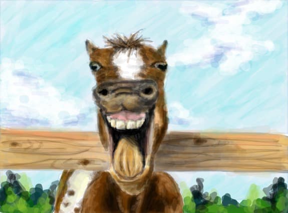 What\'s so funny?!