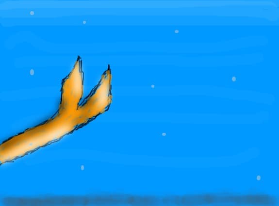The mermaid tail