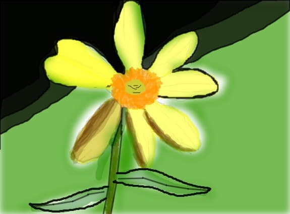 floricica
