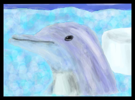 ...delfin...