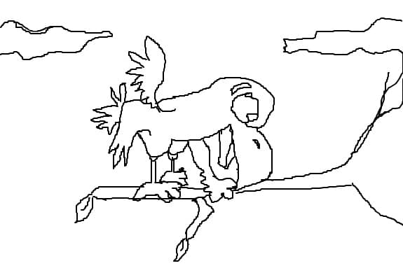 pasare