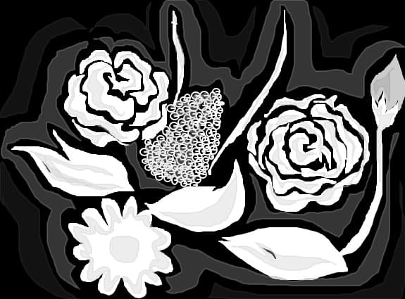 flori
