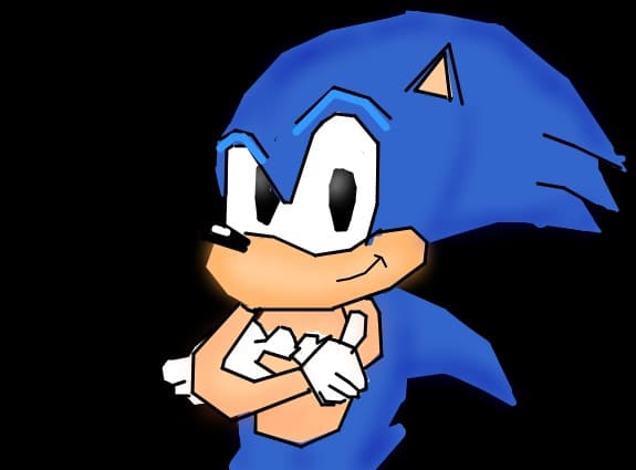 Sonic the hedgehog
