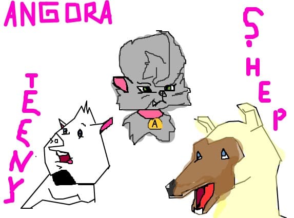 angora shep si teeny(tini)din horse land(hors lend)