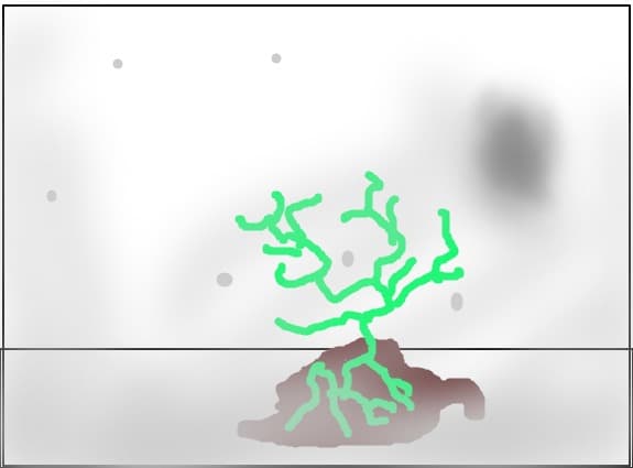 insula pustie
