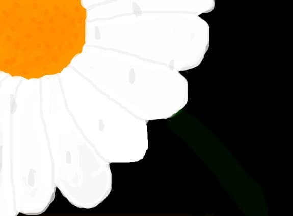 o margareta