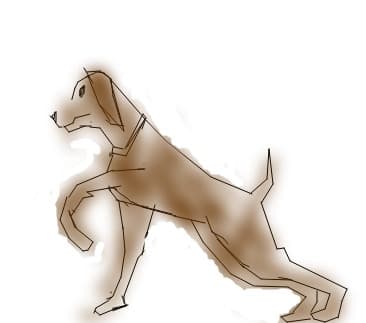 Azor