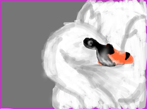 the swan of my dreams...(facuta din imaginatie mea)