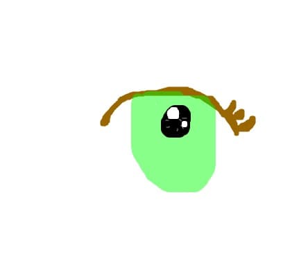 Ochi