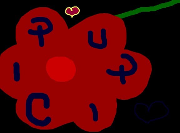 o floricik