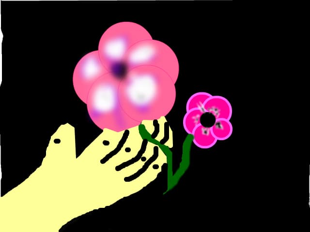 Flori