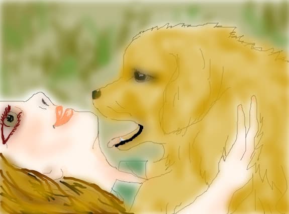 golden puppy
