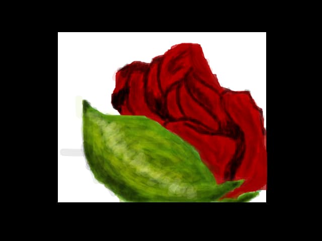 rose