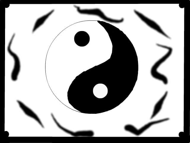 yng yang