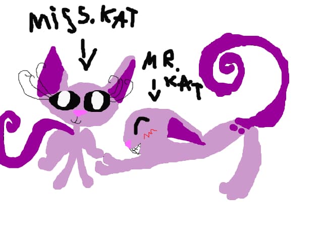 mr. kat and miss. kat