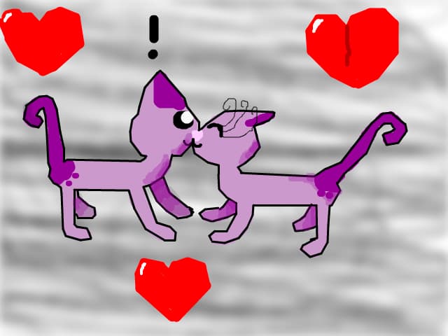 Domnul kat si domna kat XD