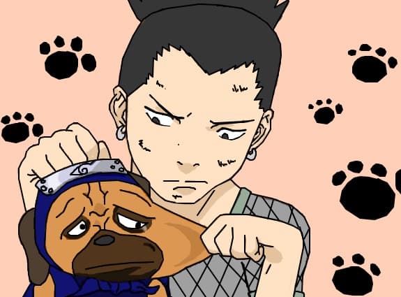 Shikamaru &amp; Pakkun
