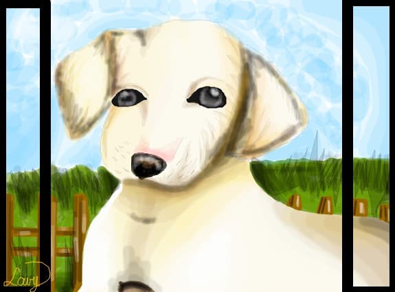 Cutzu`