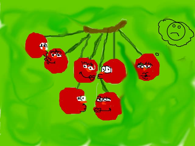 ciresele pupacoase cuceresc orasul