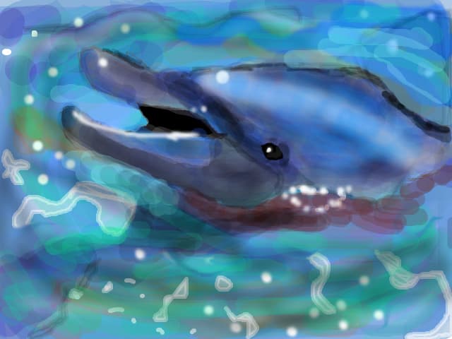 delfin in ocean