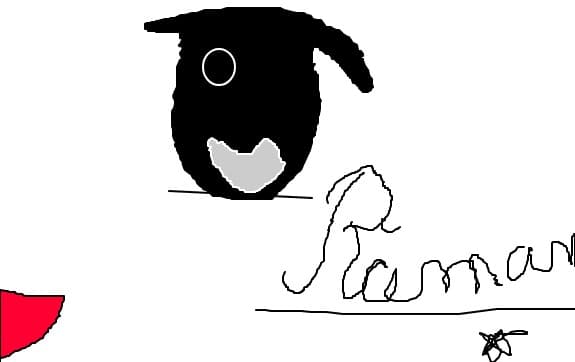 Raman