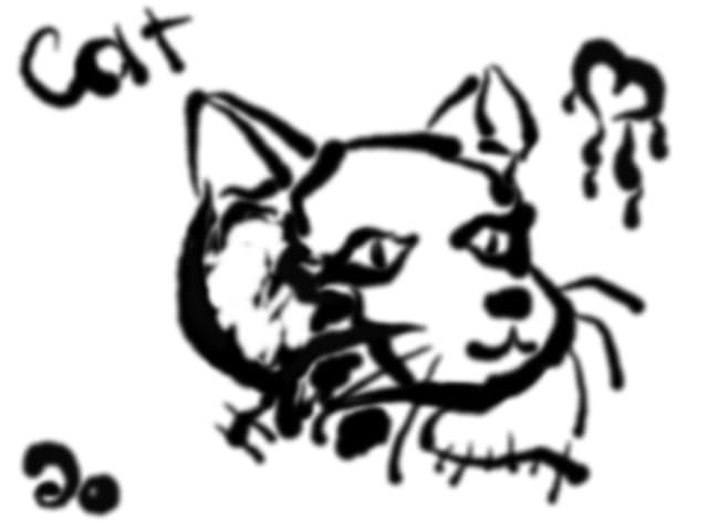 i love u silly cat