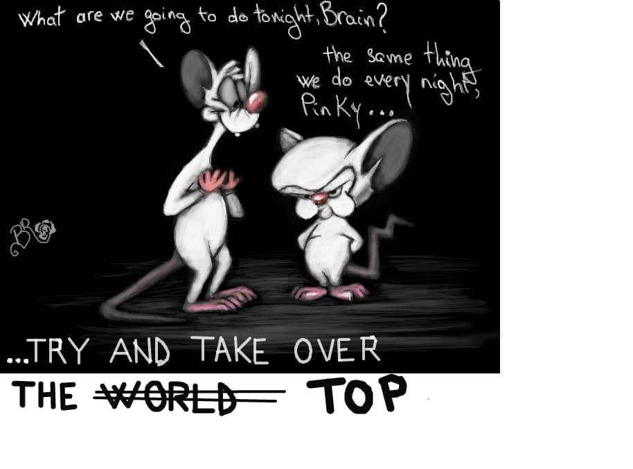 Pinky and Brain