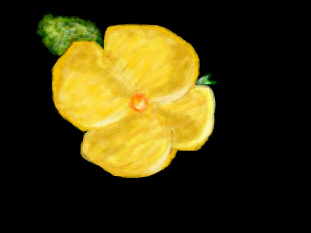 for someone special....