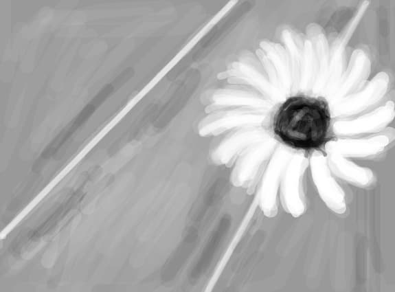 o floare in mijlocul pustietatii