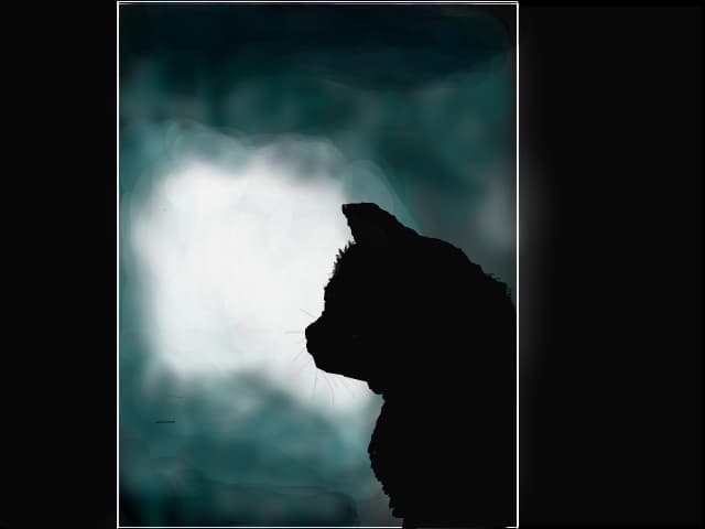 cat