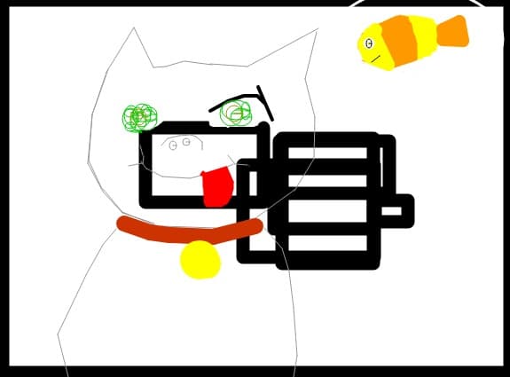 pisica