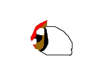 ochiul lui will