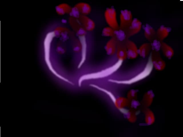 PRIML MEU DESEN